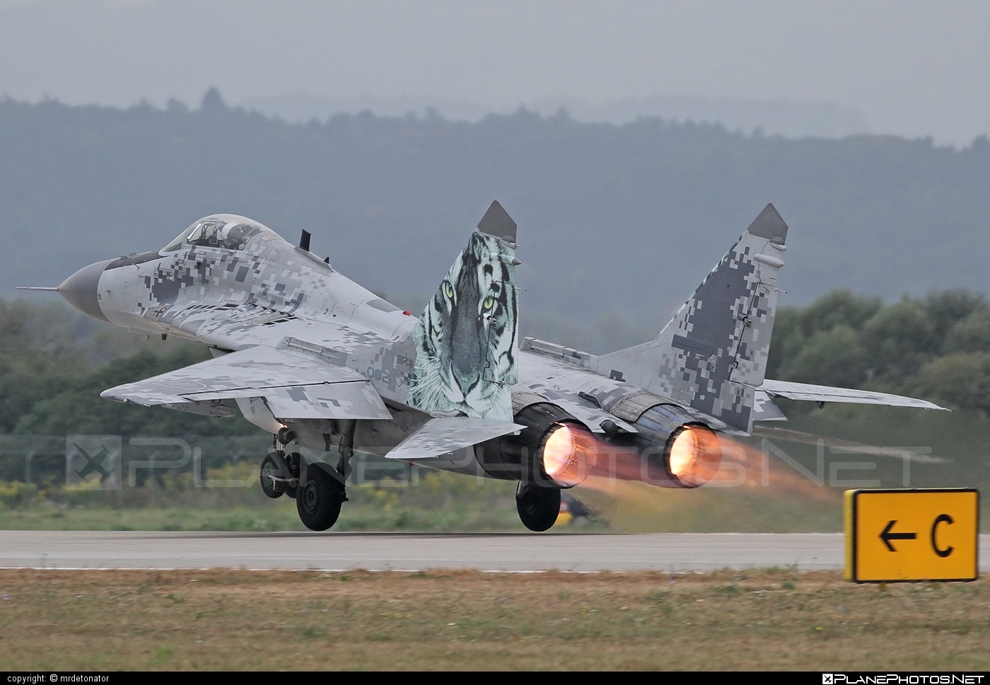 3848_Mikoyan-Gurevich-MiG-29AS_0921.jpg