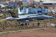 McDonnell Douglas EF-18A+ Hornet - C.15-88 operated by Ejército del Aire (Spanish Air Force)