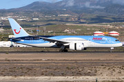 Boeing 787-8 Dreamliner - OO-JDL operated by Jetairfly