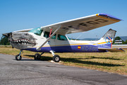 Cessna 172N Skyhawk II - EC-FOO operated by Private operator