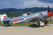 Yakovlev Yak-11-R-2000 - SP-YAQ operated by Private operator