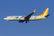 Boeing 737-800 - TC-CPN operated by Pegasus Airlines