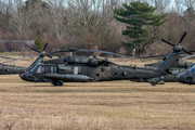 Sikorsky UH-60L Black Hawk - 99-26841 operated by United States of America - US Army Air Force (USAAF)