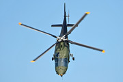 Agusta A109BA - H29 operated by Luchtcomponent (Belgian Air Force)