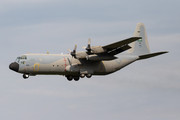 Lockheed C-130H-30 Hercules - 1631 operated by Royal Saudi Air Force