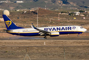 Boeing 737-800 - EI-EFC operated by Ryanair