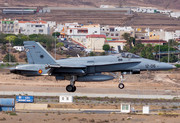 McDonnell Douglas EF-18M Hornet - C.15-48 operated by Ejército del Aire (Spanish Air Force)