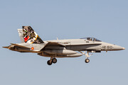 McDonnell Douglas EF-18M Hornet - C.15-34 operated by Ejército del Aire (Spanish Air Force)
