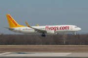 Boeing 737-800 - TC-CCP operated by Pegasus Airlines