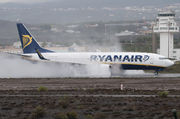Boeing 737-800 - EI-EBX operated by Ryanair