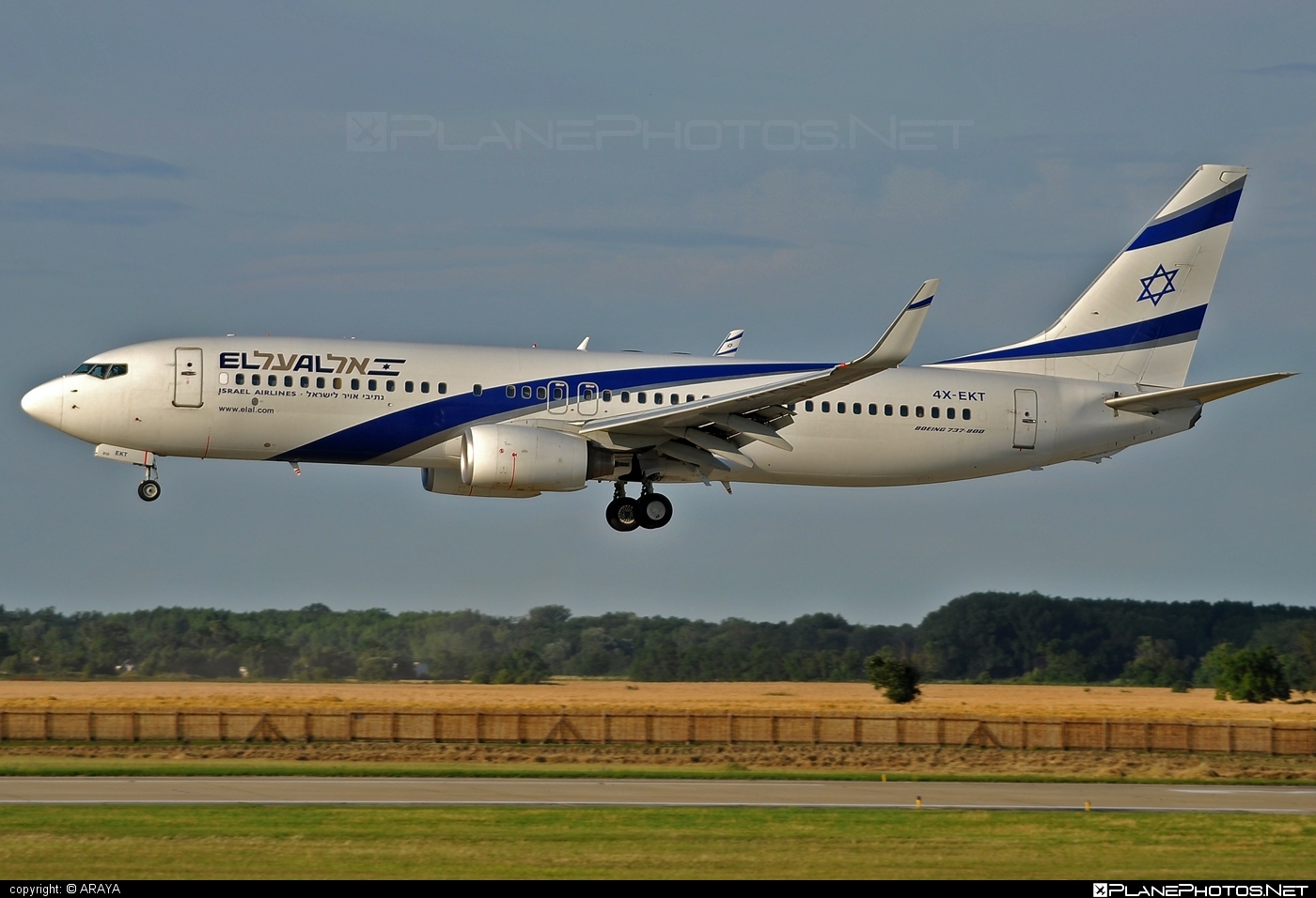Boeing 737-800 - 4X-EKT operated by El Al Israel Airlines #b737 #b737nextgen #b737ng #boeing #boeing737 #elal #elalisraelairlines #israelairlines