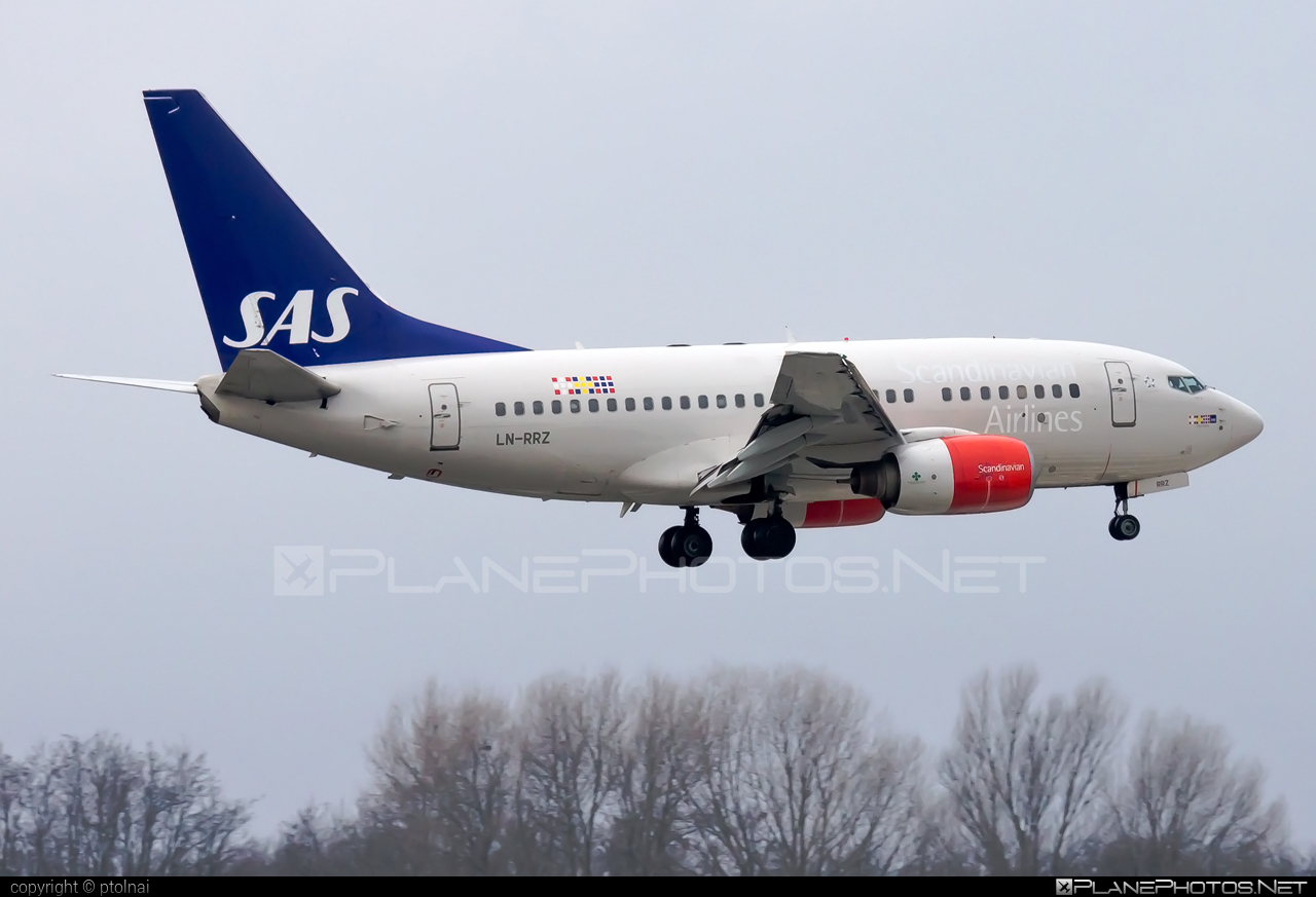 Boeing 737-600 - LN-RRZ operated by Scandinavian Airlines (SAS) #b737 #b737nextgen #b737ng #boeing #boeing737 #sas #sasairlines #scandinavianairlines