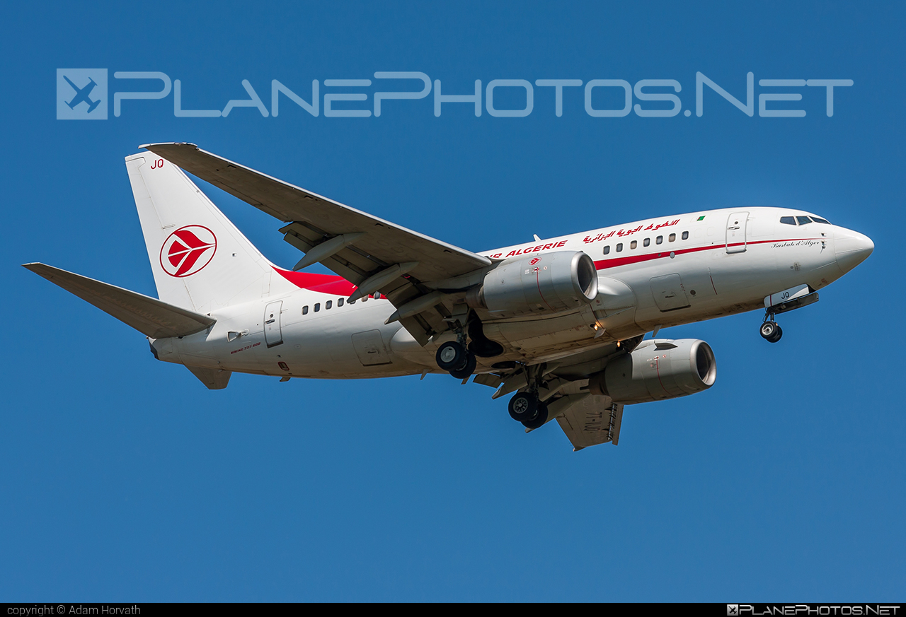 Boeing 737-600 - 7T-VJQ operated by Air Algerie #airAlgerie #b737 #b737nextgen #b737ng #boeing #boeing737