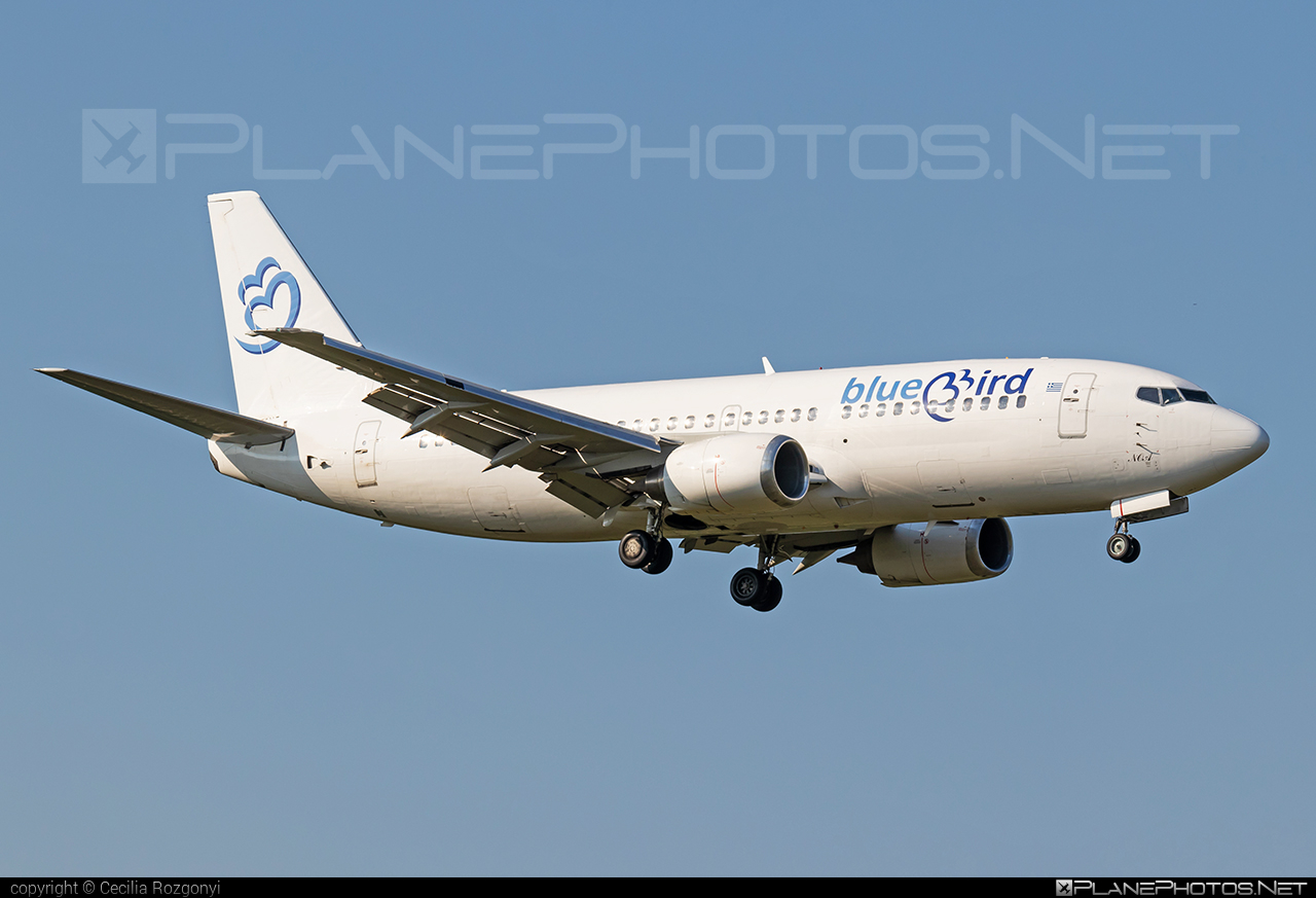 Boeing 737-300 - 9H-NOA operated by Bluebird Airways #b737 #boeing #boeing737