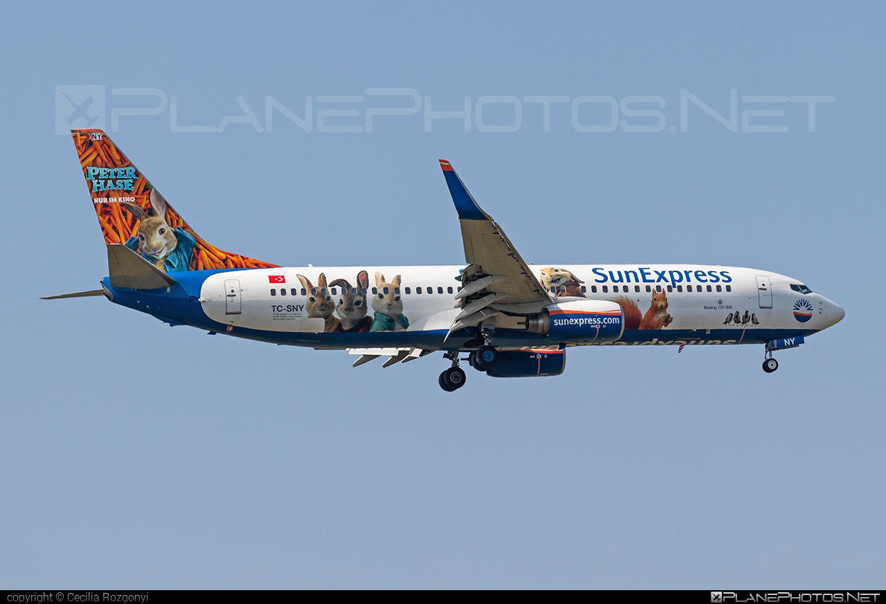 Boeing 737-800 - TC-SNY operated by SunExpress #b737 #b737nextgen #b737ng #boeing #boeing737 #sunexpress