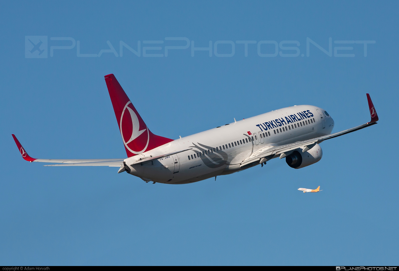 Boeing 737-800 - TC-JGU operated by Turkish Airlines #b737 #b737nextgen #b737ng #boeing #boeing737 #turkishairlines