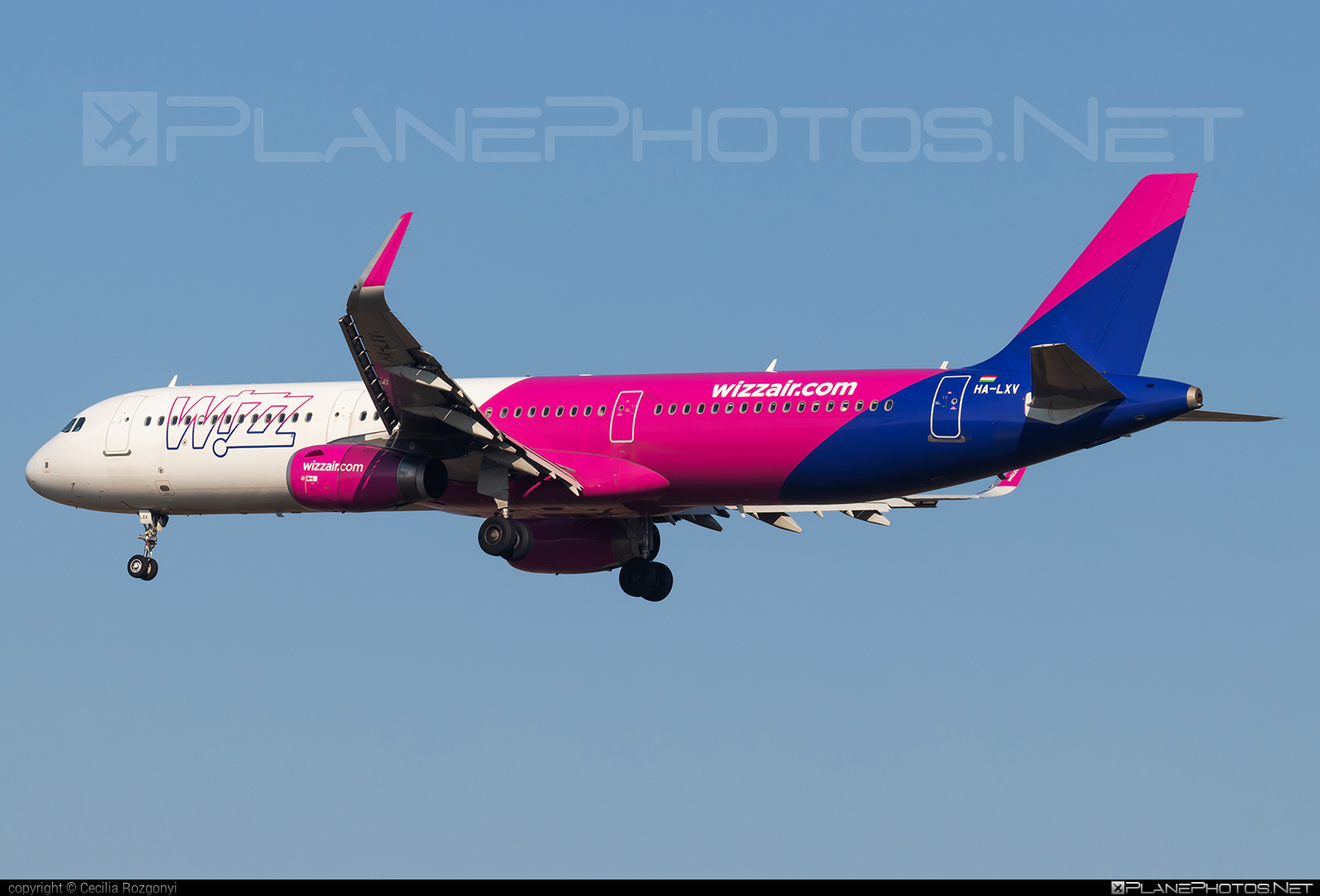 Airbus A321-231 - HA-LXV operated by Wizz Air #a320family #a321 #airbus #airbus321 #wizz #wizzair