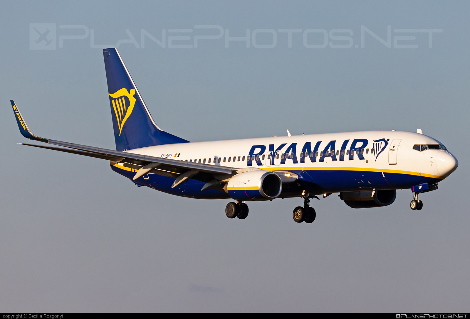 Boeing 737-800 - EI-DPT operated by Ryanair #b737 #b737nextgen #b737ng #boeing #boeing737 #ryanair