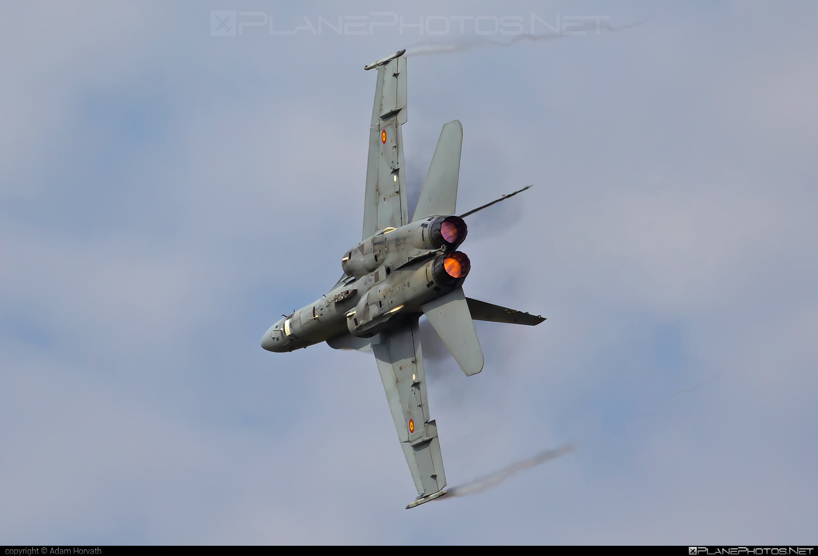 McDonnell Douglas EF-18A+ Hornet - C.15-39 operated by Ejército del Aire (Spanish Air Force) #ef18a #ejercitoDelAire #f18 #f18hornet #mcDonnellDouglas #spanishAirForce