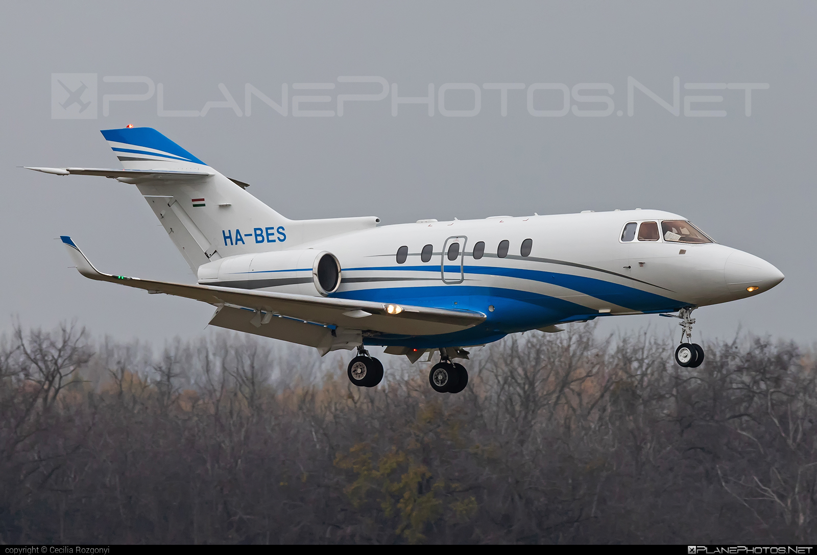 Raytheon Hawker 800XP - HA-BES operated by Private operator #800xp #hawker800 #hawker800xp #raytheon