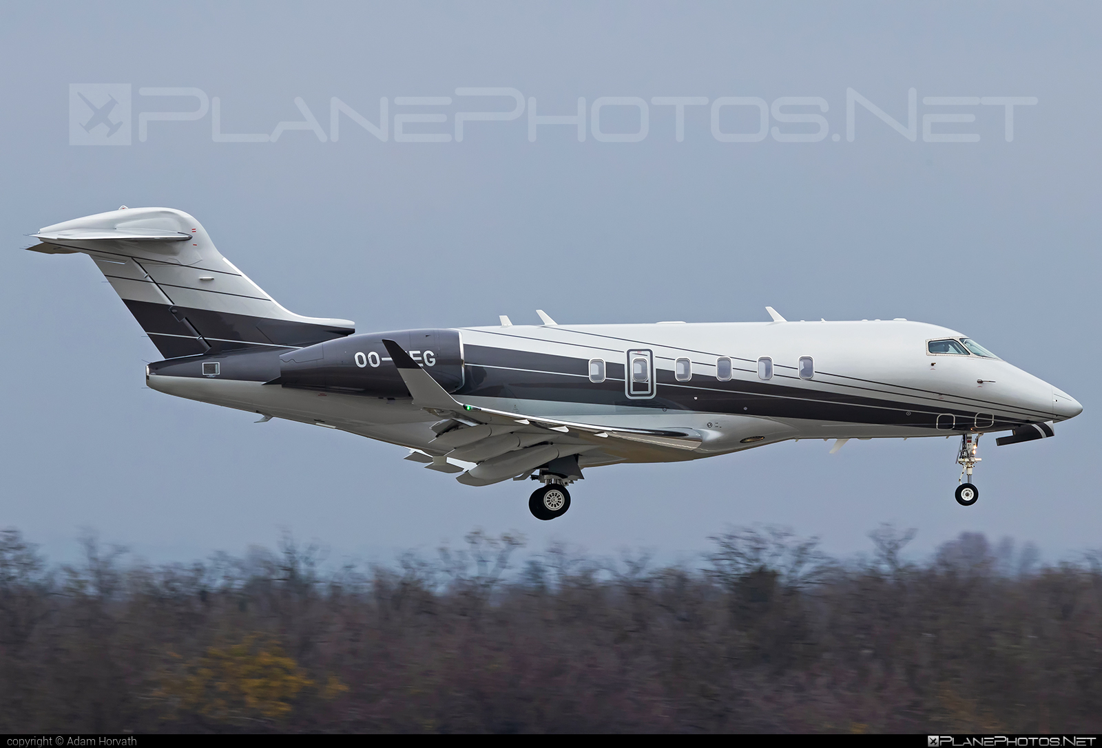 Bombardier Challenger 350 (BD-100-1A10) - OO-WEG operated by Abelag Aviation #bd1001a10 #bombardier #challenger350