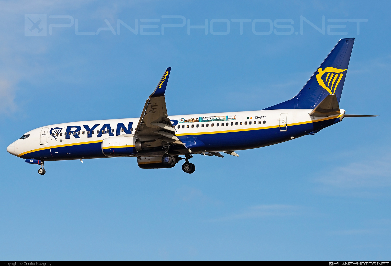 Boeing 737-800 - EI-FIT operated by Ryanair #b737 #b737nextgen #b737ng #boeing #boeing737 #ryanair