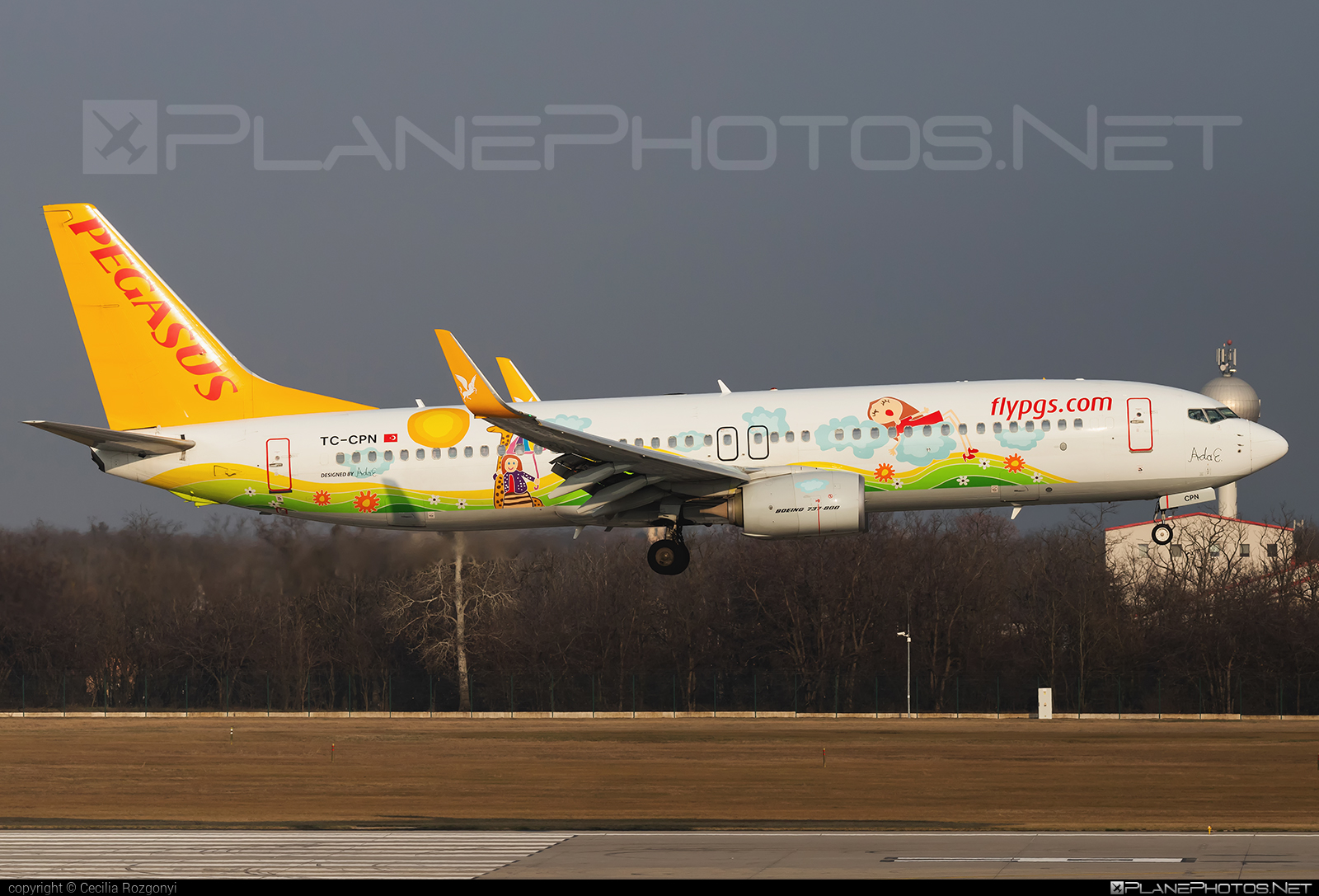Boeing 737-800 - TC-CPN operated by Pegasus Airlines #PegasusAirlines #b737 #b737nextgen #b737ng #boeing #boeing737 #flypgs