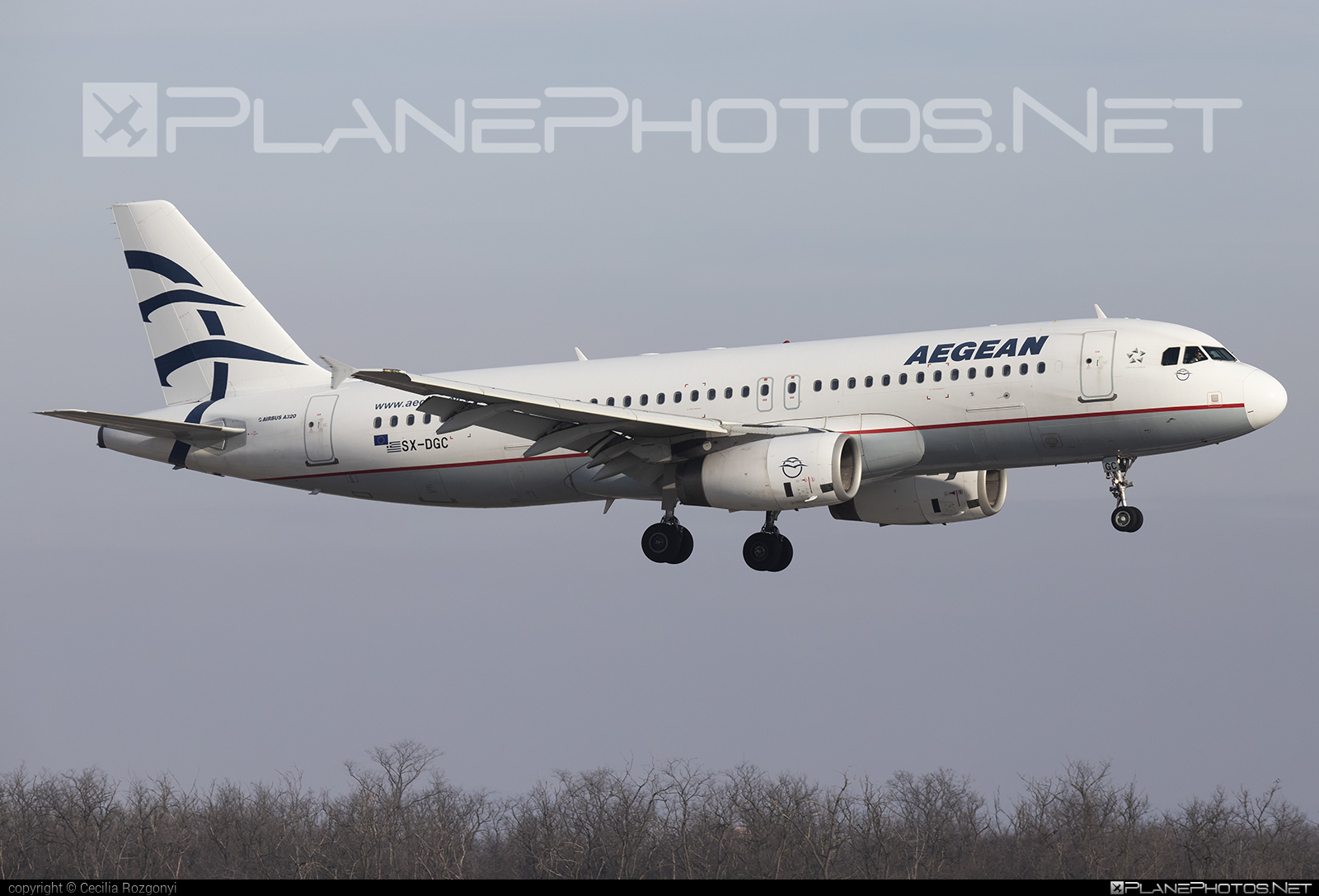 Airbus A320-232 - SX-DGC operated by Aegean Airlines #a320 #a320family #airbus #airbus320