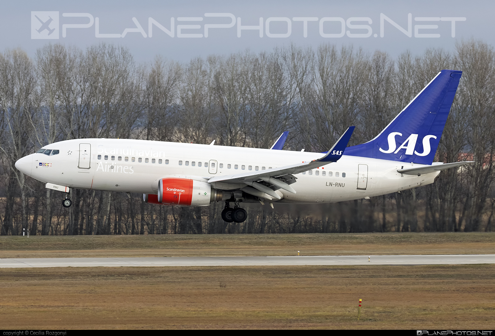 Boeing 737-700 - LN-RNU operated by Scandinavian Airlines (SAS) #b737 #b737nextgen #b737ng #boeing #boeing737 #sas #sasairlines #scandinavianairlines