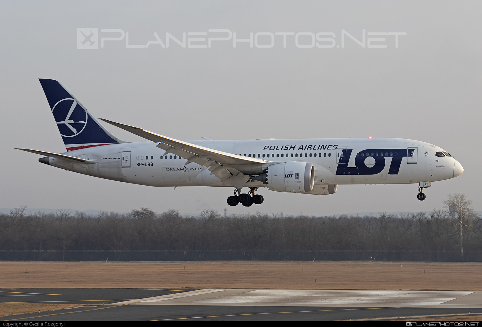 Boeing 787-8 Dreamliner - SP-LRB operated by LOT Polish Airlines #b787 #boeing #boeing787 #dreamliner #lot #lotpolishairlines