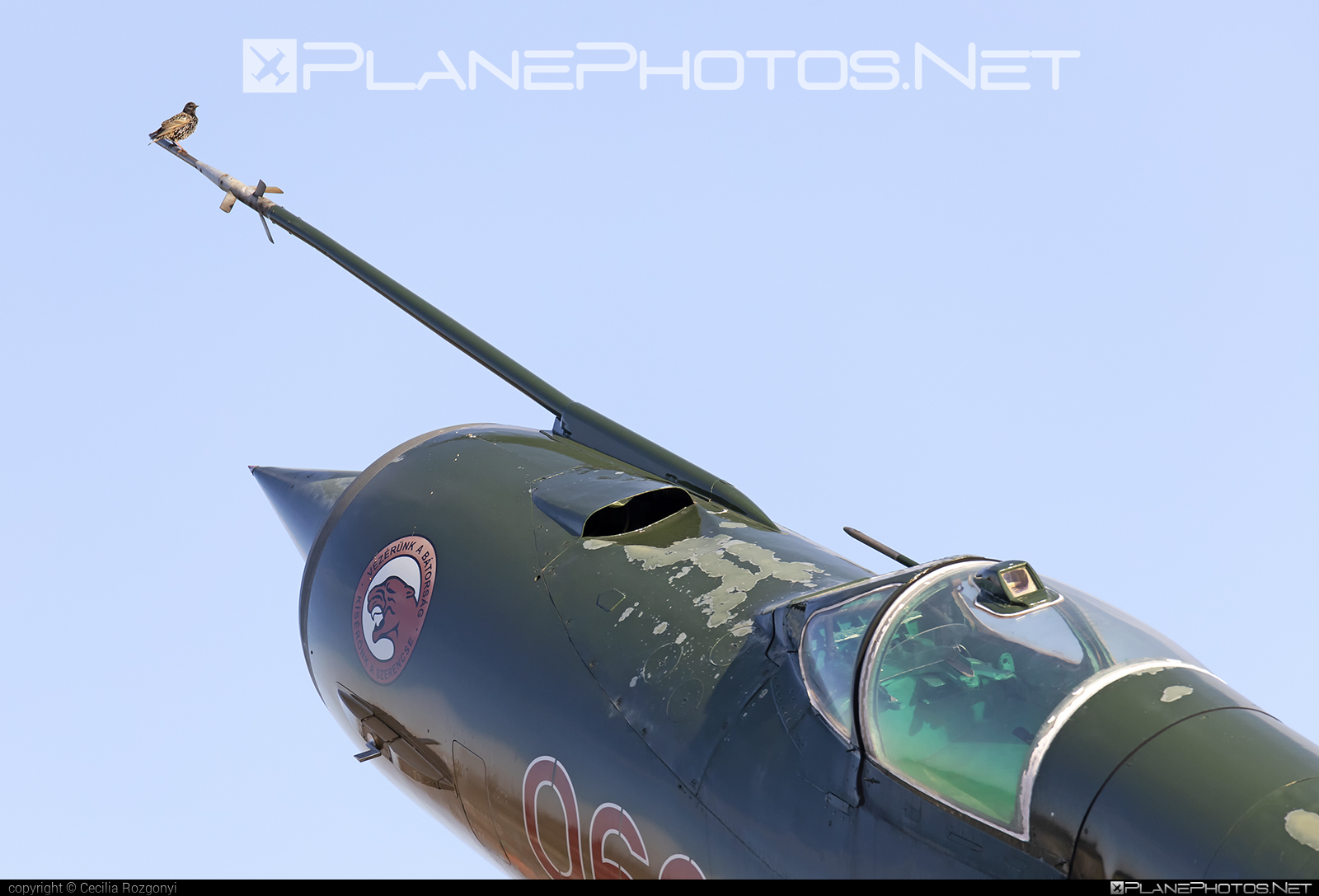 Mikoyan-Gurevich MiG-21MF - 9606 operated by Magyar Légierő (Hungarian Air Force) #hungarianairforce #magyarlegiero #mig #mig21 #mig21mf #mikoyangurevich