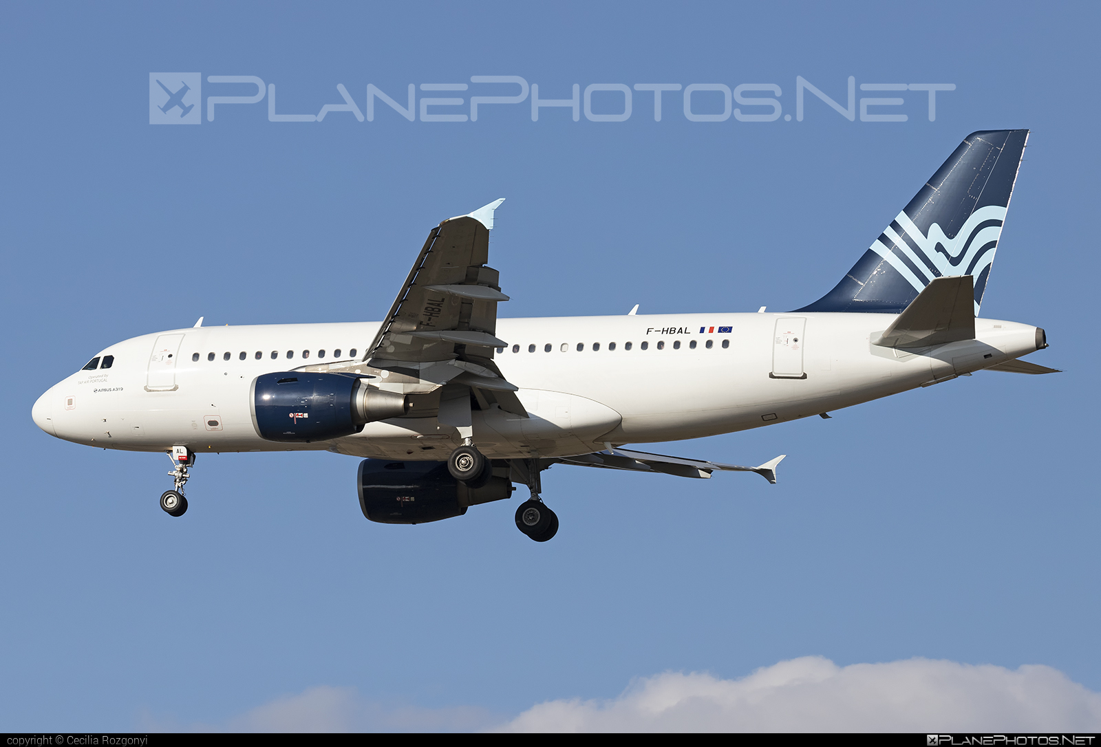 Airbus A319-111 - F-HBAL operated by Aigle Azur #a319 #a320family #airbus #airbus319