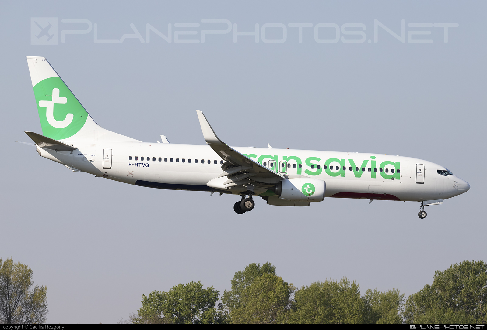 Boeing 737-800 - F-HTVG operated by Transavia France #b737 #b737nextgen #b737ng #boeing #boeing737 #transavia #transaviaFrance