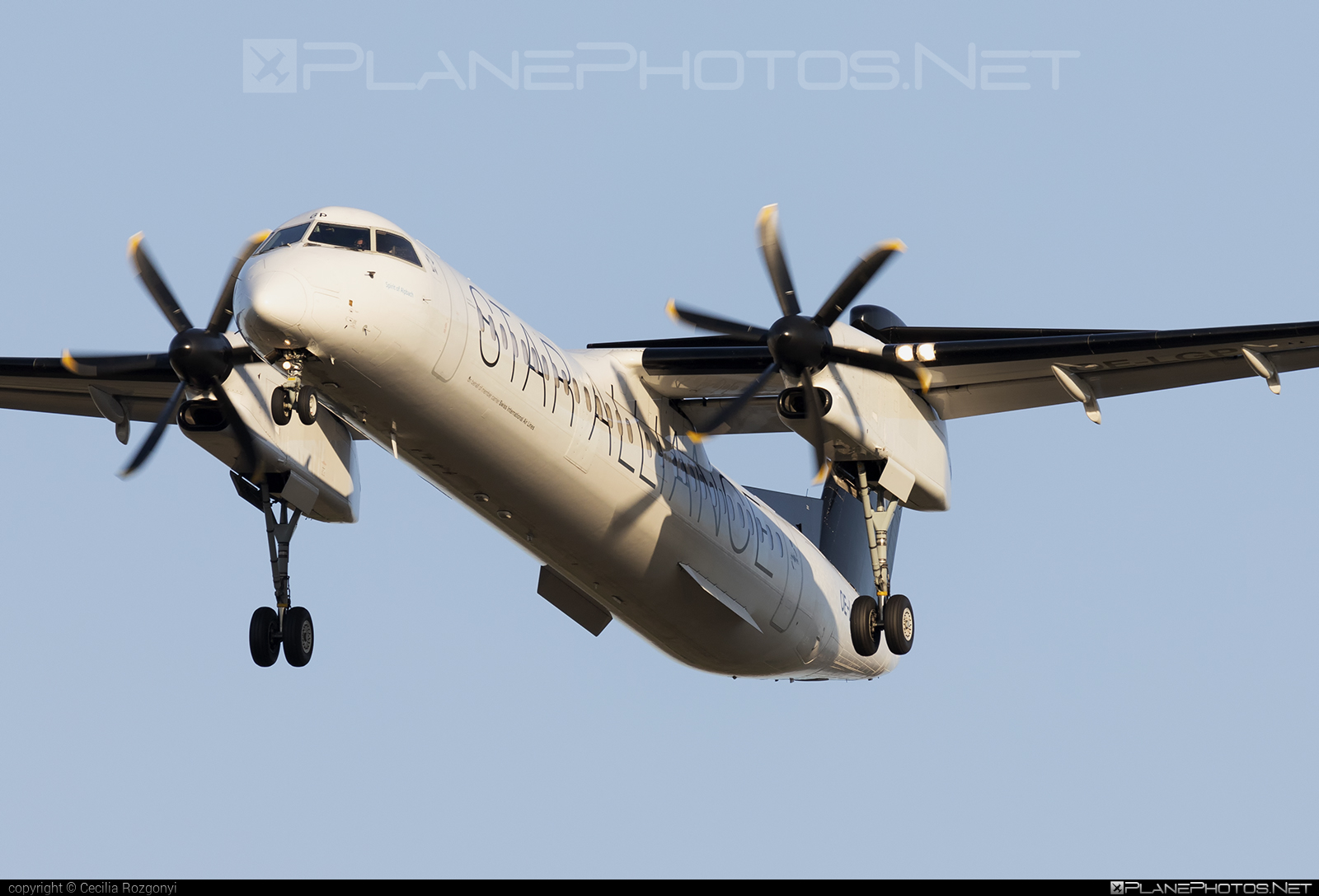 Bombardier DHC-8-Q402 Dash 8 - OE-LGP operated by Austrian Airlines #austrian #austrianAirlines #bombardier #dash8 #dhc8 #dhc8q402 #staralliance
