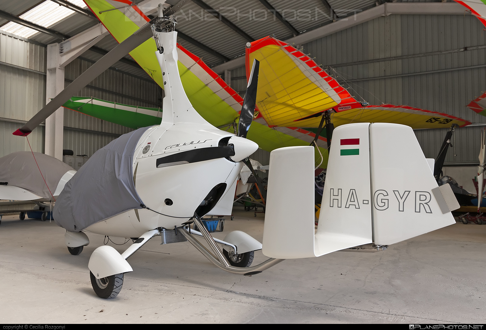 AutoGyro Calidus - HA-GYR operated by Private operator #autogyro