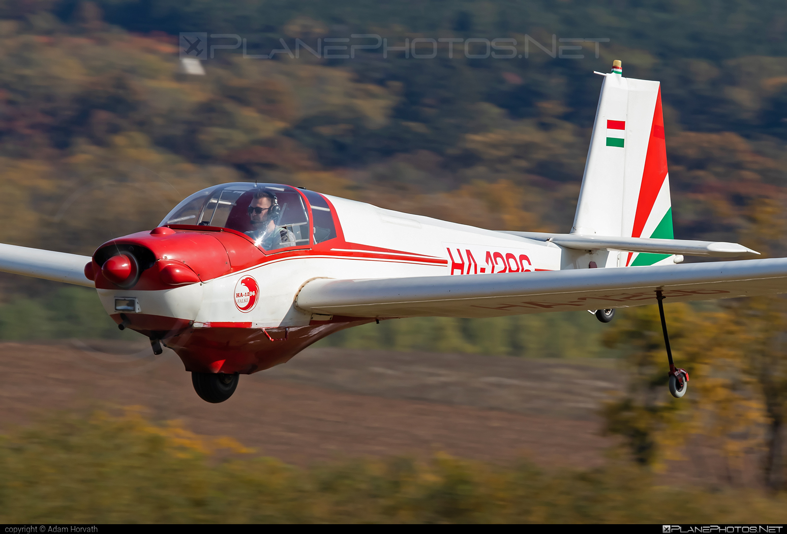 Scheibe SF-25C Falke - HA-1296 operated by Private operator #scheibe #scheibefalke #sf25 #sf25c