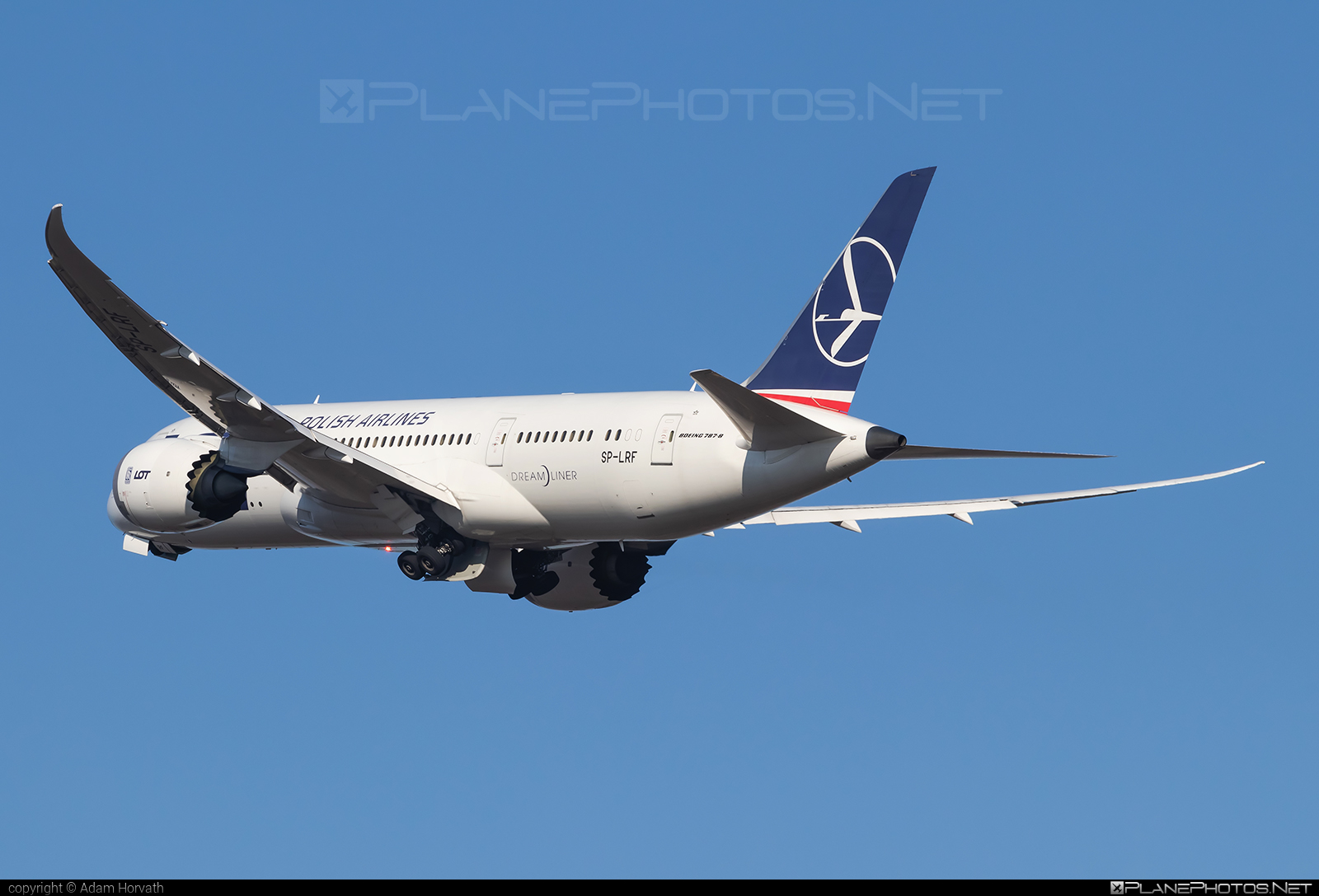 Boeing 787-8 Dreamliner - SP-LRF operated by LOT Polish Airlines #b787 #boeing #boeing787 #dreamliner #lot #lotpolishairlines
