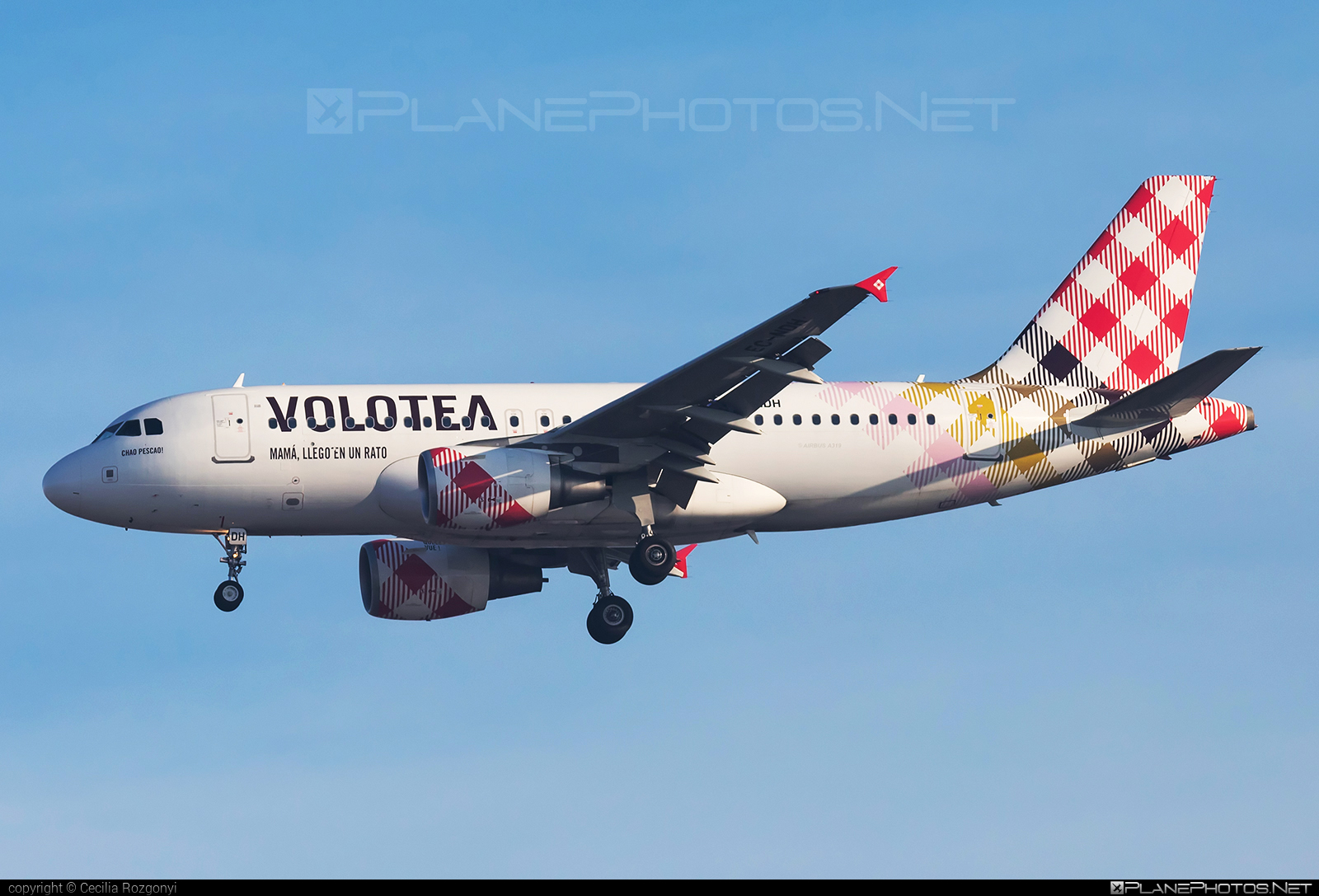 Airbus A319-111 - EC-NDH operated by Volotea #a319 #a320family #airbus #airbus319