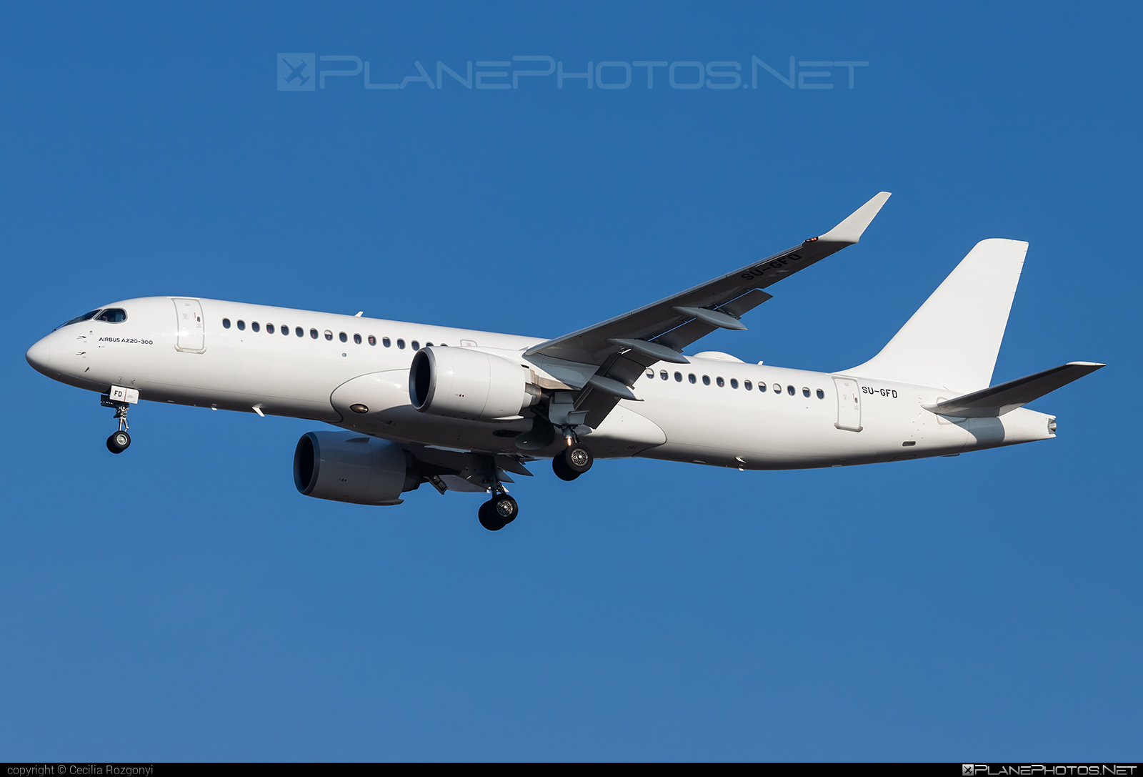 SU-GFD - Airbus A220-300 operated by EgyptAir Express taken by