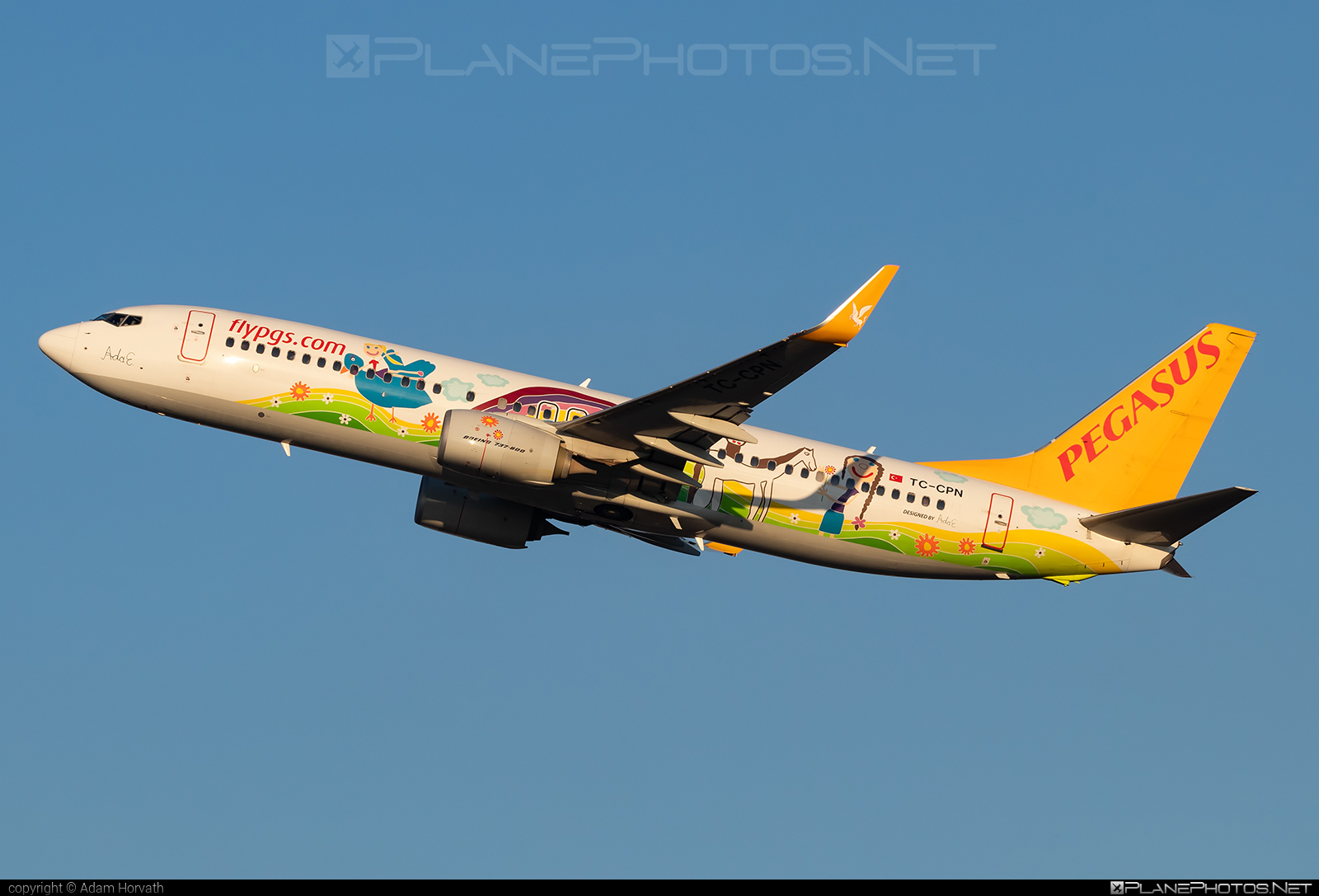 Boeing 737-800 - TC-CPN operated by Pegasus Airlines #PegasusAirlines #b737 #b737nextgen #b737ng #boeing #boeing737 #flypgs