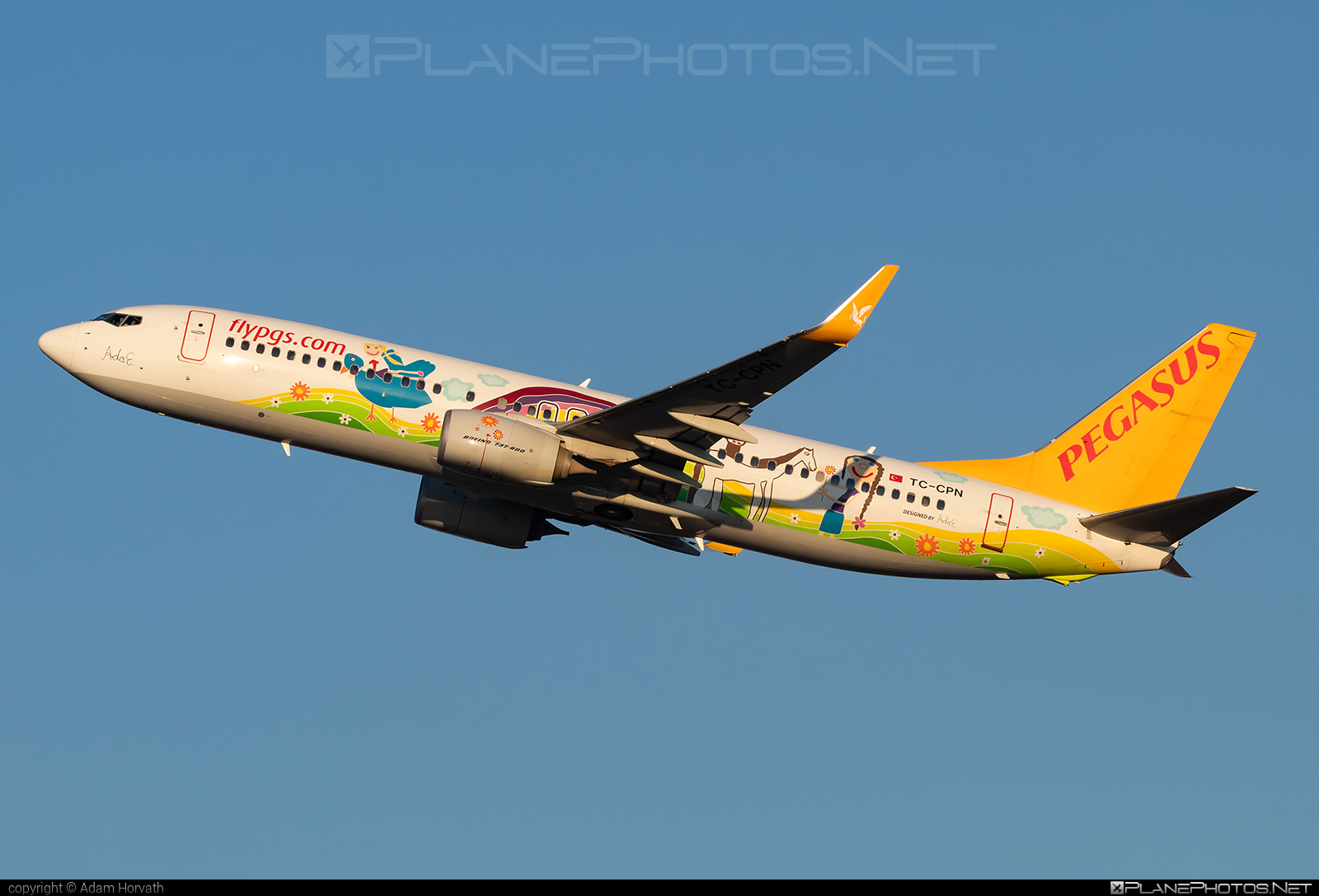 楽天市場】737－800 1（飛行機・ヘリコプター｜プラモデル・模型