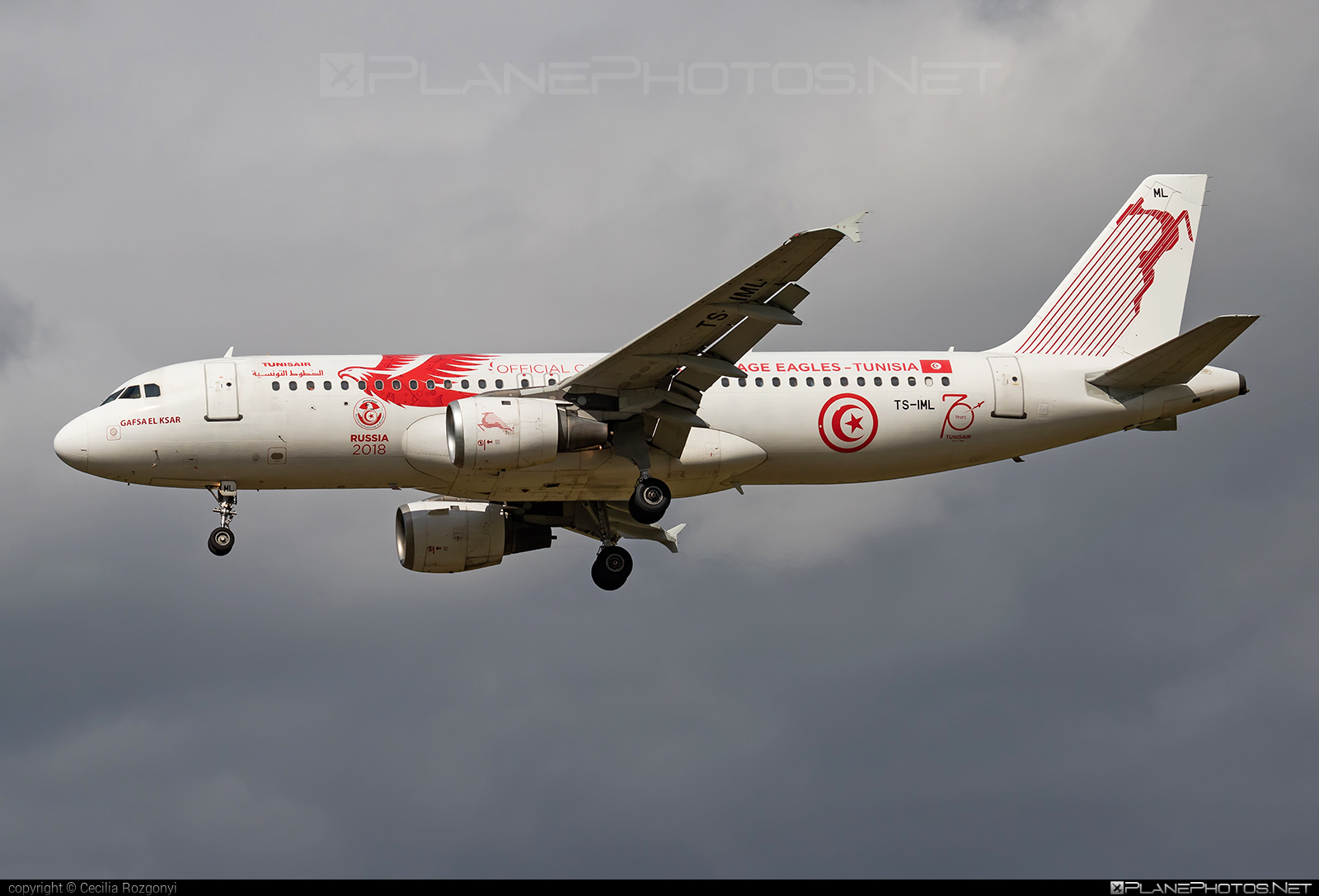 Airbus A320-211 - TS-IML operated by Tunisair #a320 #a320family #airbus #airbus320 #tunisair