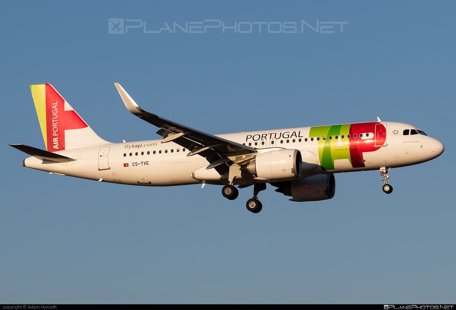 Airbus A320-251N - CS-TVE operated by TAP Portugal #a320 #a320family #a320neo #airbus #airbus320 #tap #tapportugal