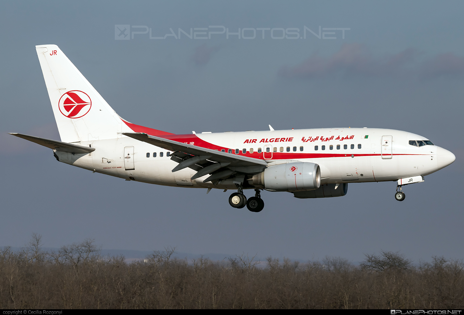 Boeing 737-600 - 7T-VJR operated by Air Algerie #airAlgerie #b737 #b737nextgen #b737ng #boeing #boeing737