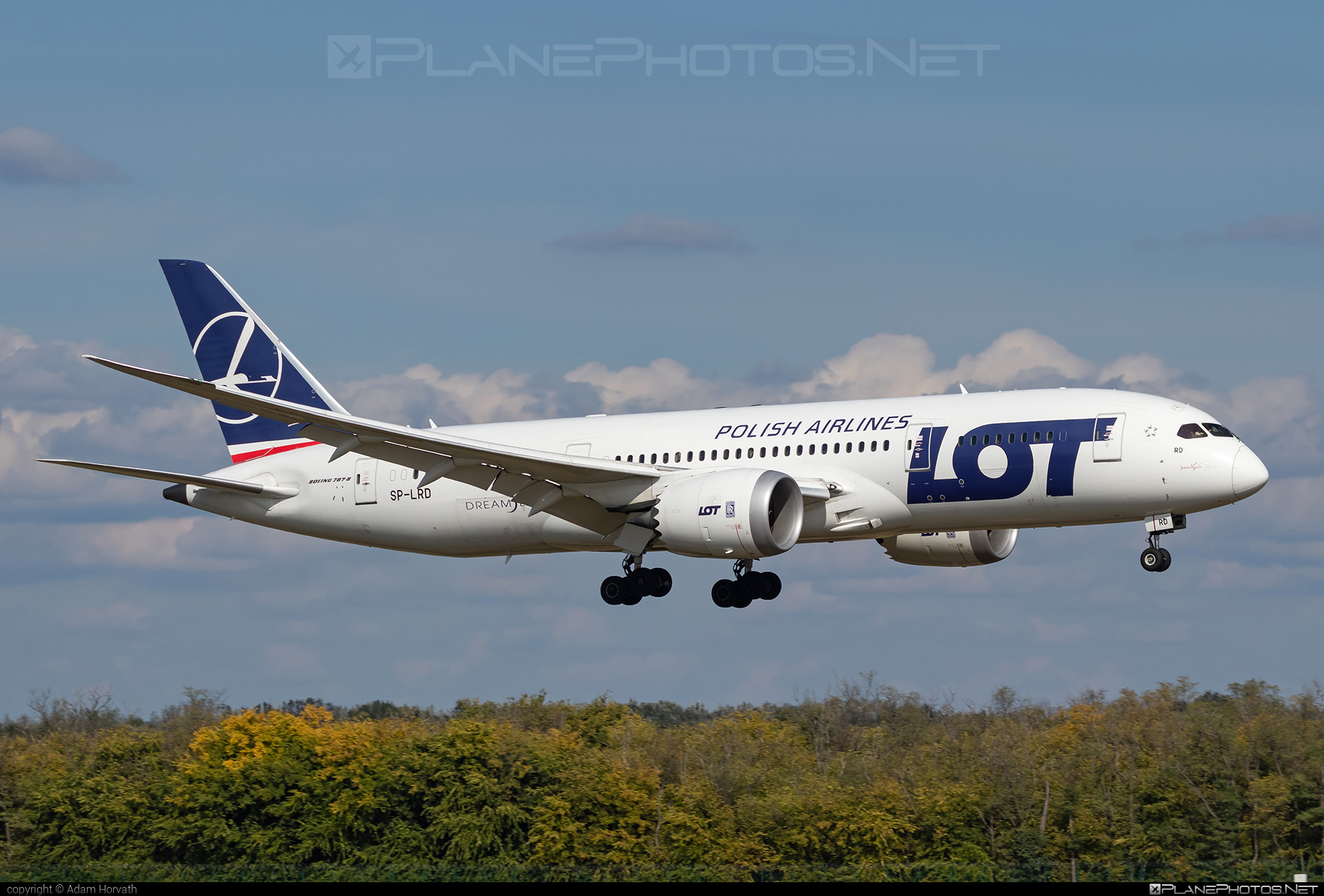 File:LOT Polish Airlines Boeing 787-8 SP-LRE (14020773270).jpg
