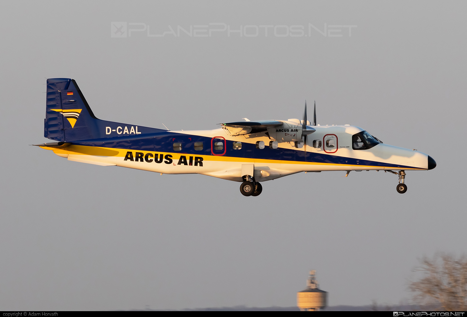 Dornier 228-202K - D-CAAL operated by Arcus-Air #dornier