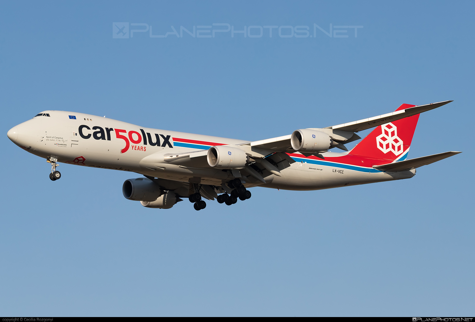 Boeing 747-8F - LX-VCC operated by Cargolux Airlines International #b747 #b747f #b747freighter #boeing #boeing747 #cargolux #jumbo