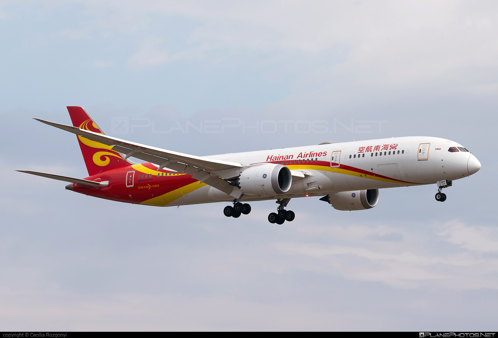Boeing 787-9 Dreamliner - B-207V operated by Hainan Airlines #b787 #boeing #boeing787 #dreamliner