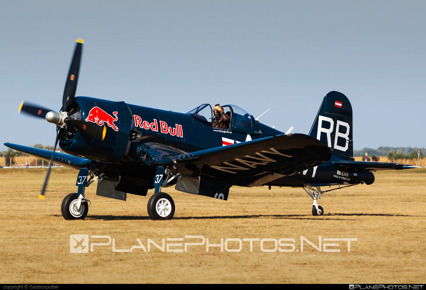 Vought F4U-4 Corsair - OE-EAS operated by The Flying Bulls #corsair #theflyingbulls #vought