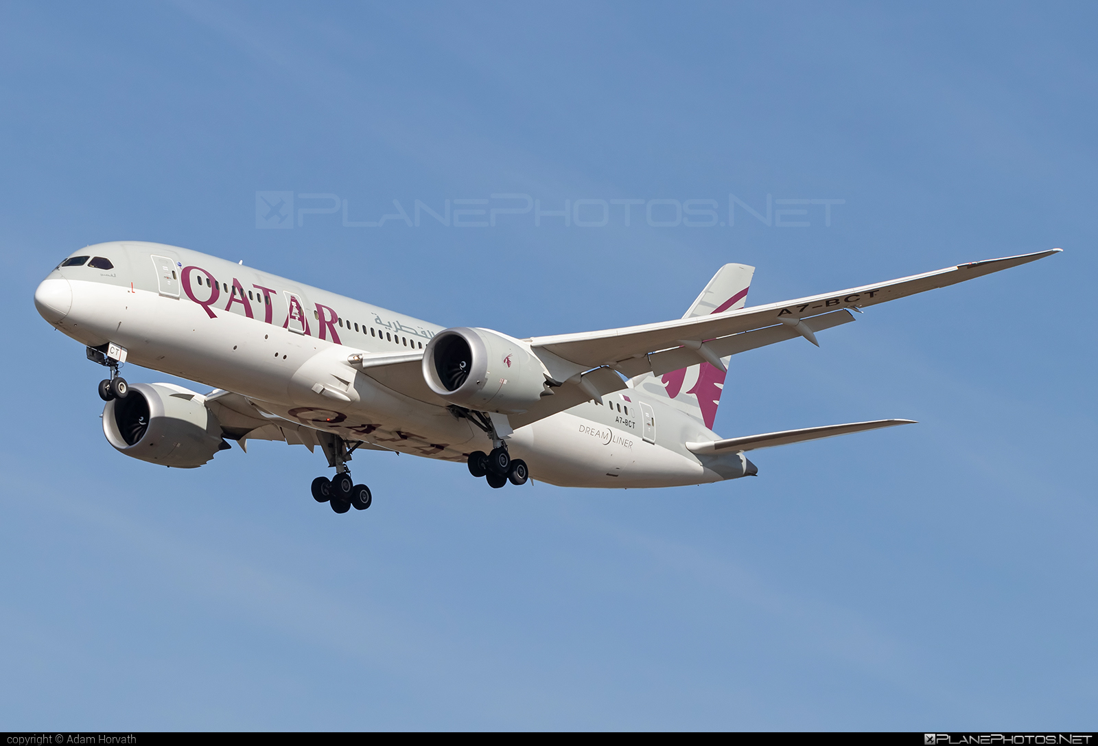 Boeing 787-8 Dreamliner - A7-BCT operated by Qatar Airways #b787 #boeing #boeing787 #dreamliner #qatarairways